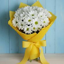 Букет цветов из:  Хризантемы в Ягодное